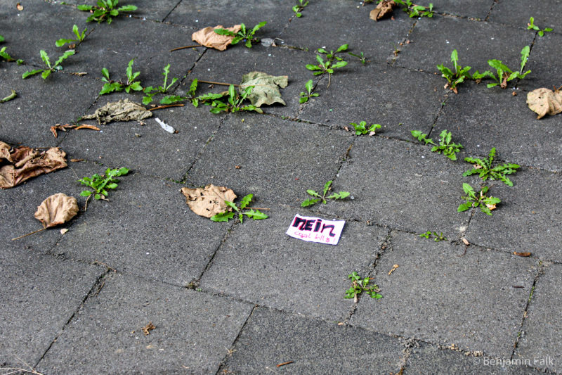 Zettel "NEIN coal kills" auf einem unkrautübersähtem Bürgersteig.