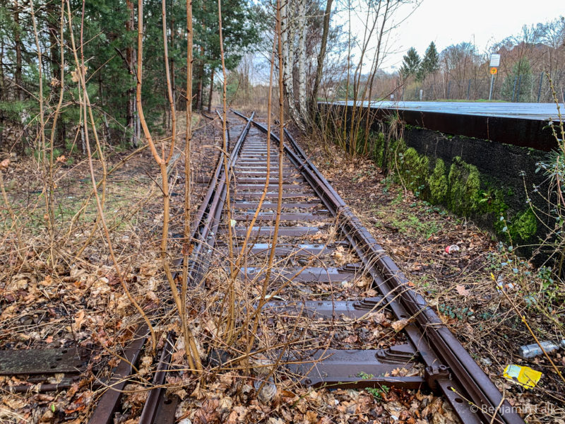 Stillgelegte und zugewachsene Bahnschienen am Bahnsteig, aus dem Gleis fotografiert, des Denkmals Gleis 17 für die Deportierten Berliner Juden.
