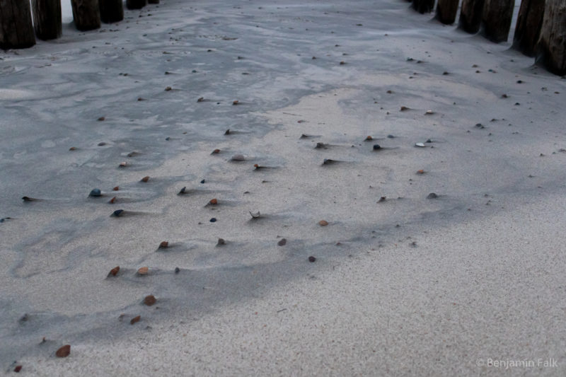 Muscheln mit vom Wind gewehten Sandspuren fotografiert in einer Reihe aus Wellenbrechern.