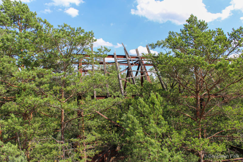 Zerfallendes Stahl- und Holzgerippe vor einem blauen Himmel zwischen Nadelbaumkronen aufgenommen (Beelitzer Heilstätten)