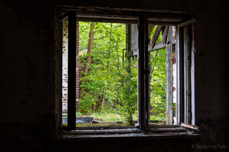 Fenster aus einem dunklen Raum heraus in ein helles Waldstück fotografiert. Die Fensterglieder sind offen und draußen sind allein stehende Holzpfeiler eines kaputten Gebäudes zu sehen.