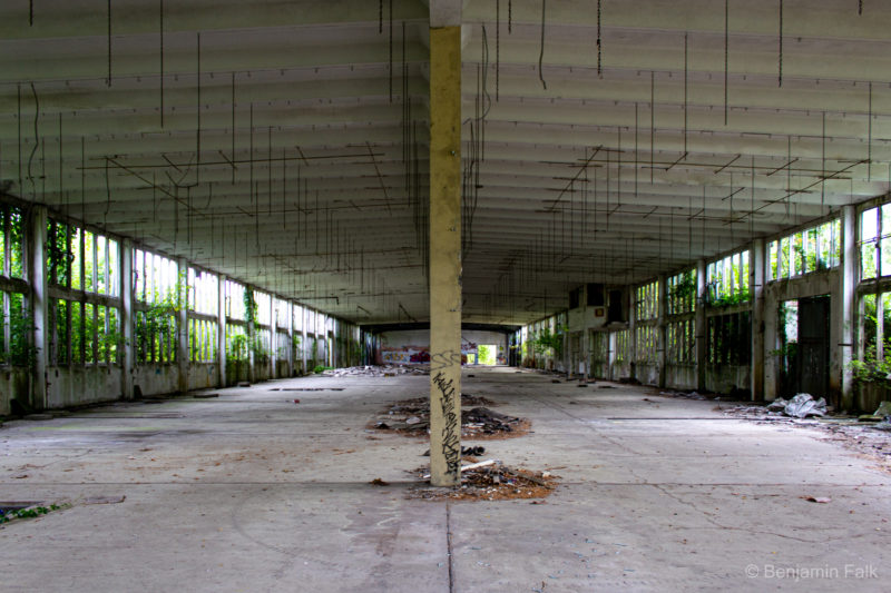 Längliche Lagerhalle mit Säulen in der Mitte, symmetrisch fotografiert. Auf dem Boden liegen einzelne Schutthaufen und an den Außenfenstern der Halle kann man Bäume und Büsche sehen die teilweise hinein ragen.